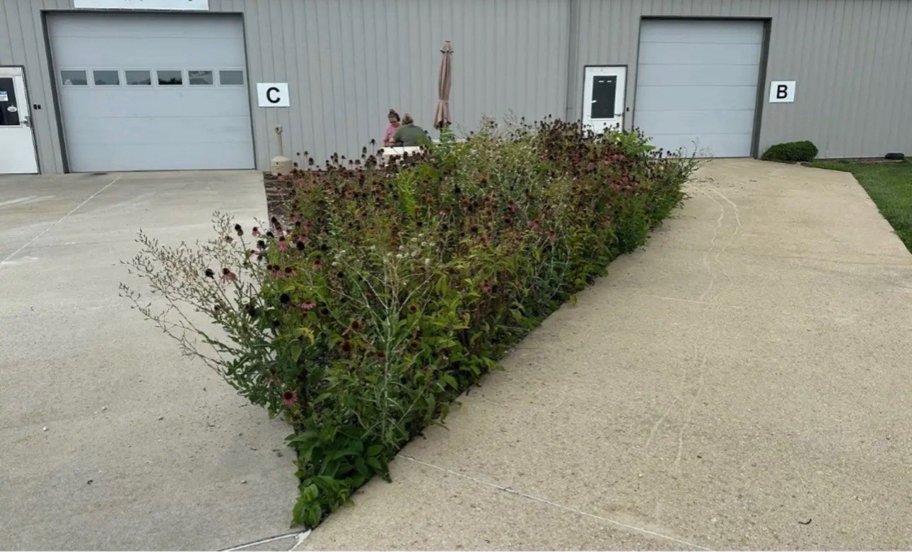 Commercial Grounds Refresh — before