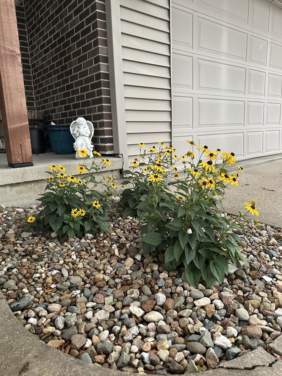 Blooming Rock Bed