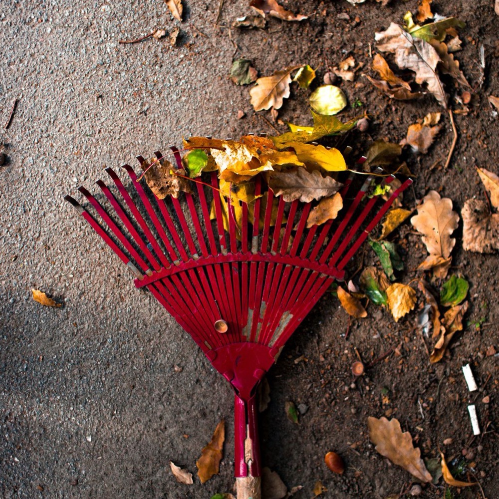Seasonal Cleanups
